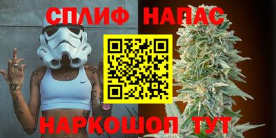 гидра Бузулук