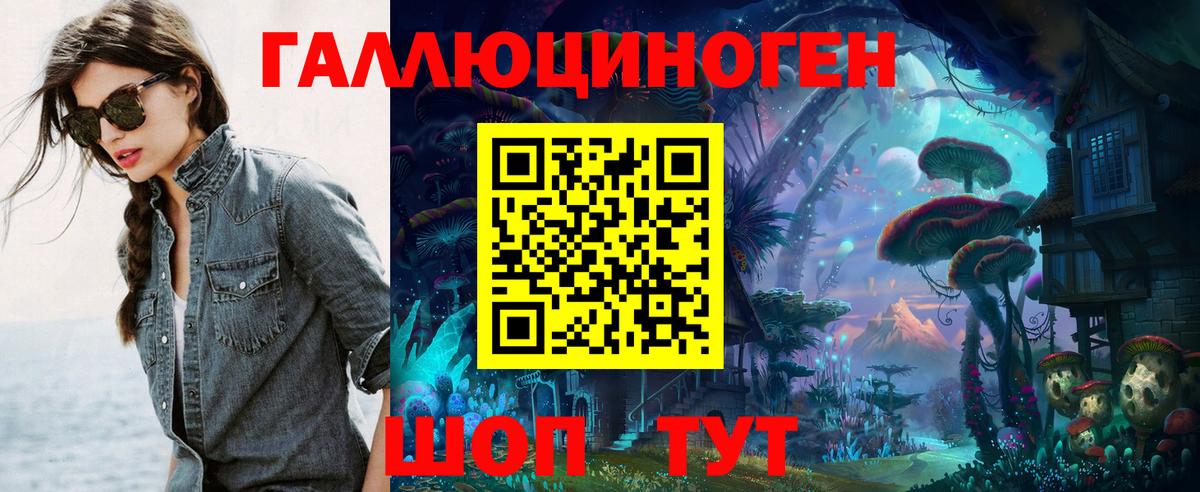 Черняховск  Псилоцибиновые грибы Psilocybine cubensis  Вход с VPN 